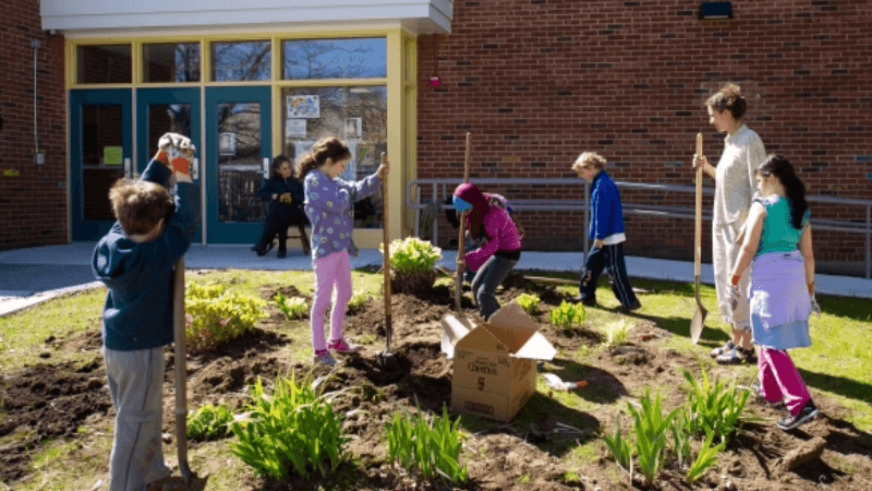 Cover Image for fforts to create outdoor learning spaces are underway