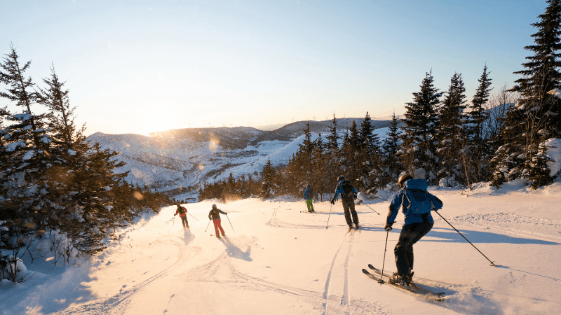 Cover Image for A skier is recovering after an accident on an intermediate trail